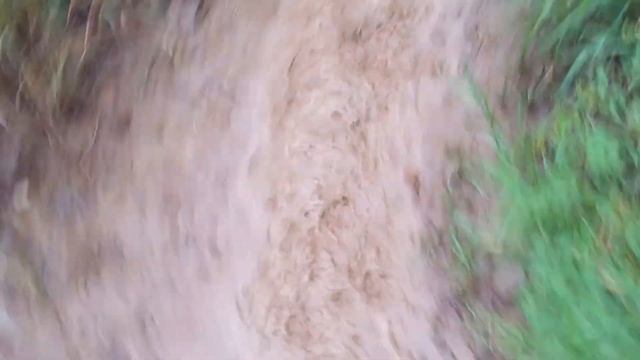 David Gareja смотреть онлайн