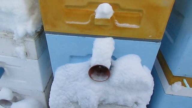 январь на пасеке - метод зимовки пчел на воле с пустым магазином сверху зимнего гнезда пчел смотреть онлайн