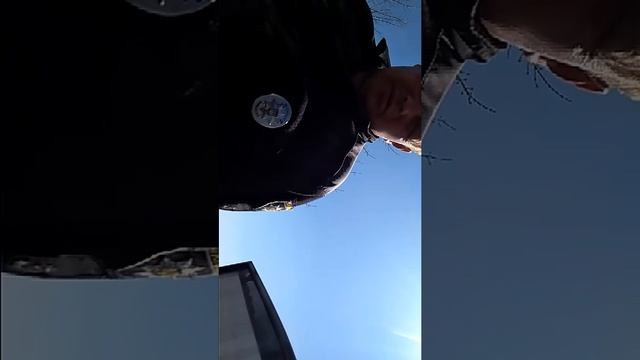 Чук и Гек смотреть онлайн