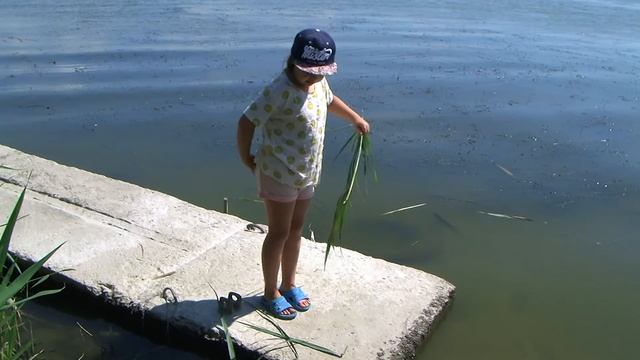 JVC GZ HD7 3CCD FULL HD видеокамера. тест. смотреть онлайн