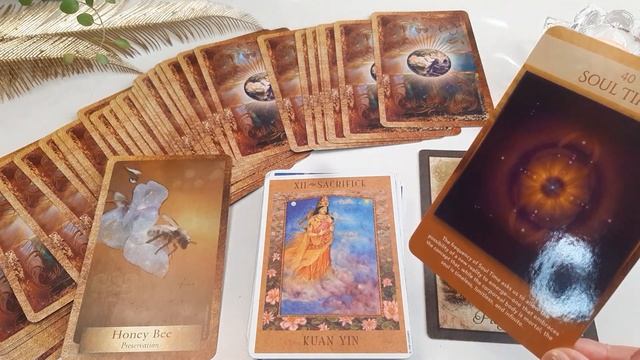 Virgo ♥️ Upcoming! Each Day Of The Week, Timestamped Tarot & Oracle Reading 26 september - 2 octobe смотреть онлайн