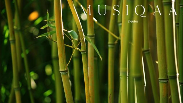 Deuter ⋄ Bamboo Forest ⋄ Meditation ⋄ Yoga ⋄ Bamboo Flute смотреть онлайн