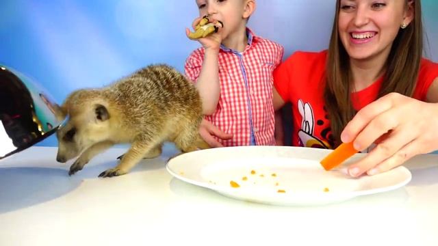 Обычная Еда против Мармелада Челлендж! МАМА ПЛАЧЕТ! CANDY CHALLENGE - Real Food Vs Gummy Food