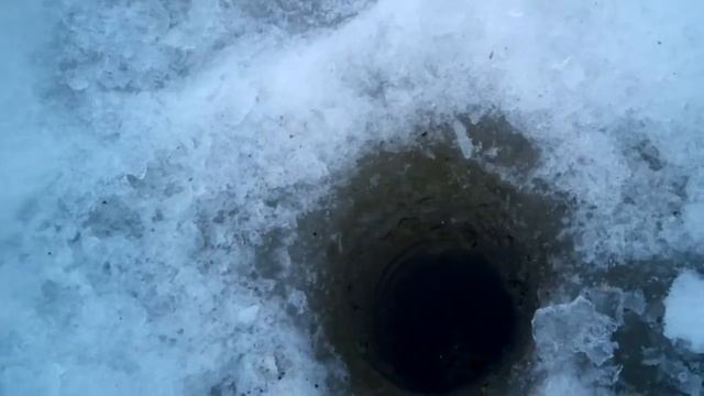 Видеоотчёт, за 22.03.2015 плотва+окунь! смотреть онлайн