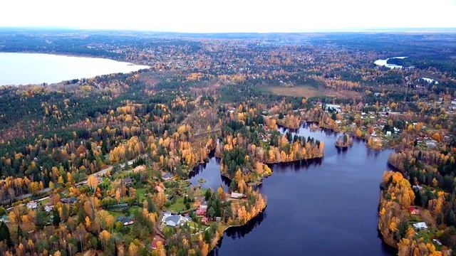 Васкелово смотреть онлайн