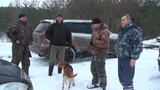 Охота на зайца Зима, февраль 2014 г. смотреть онлайн