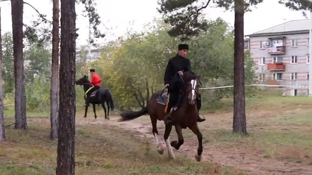 казаки сюжет мп4 без заставки смотреть онлайн