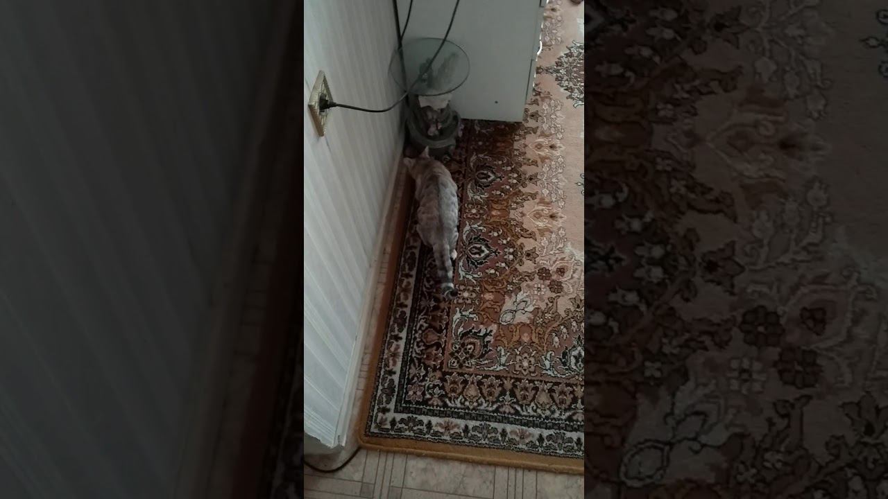 22 января 2020 г. смотреть онлайн