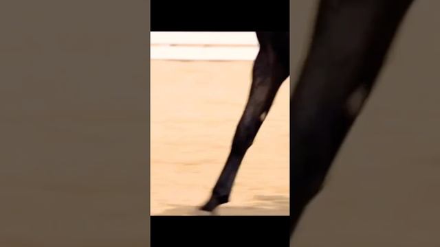 Восточный ветер 2.Выестка без поводьев!!! Всем саветую посматреть ☺ смотреть онлайн