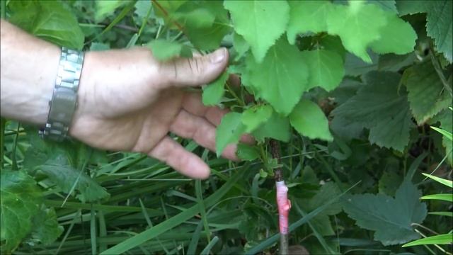 Строительное Искусство