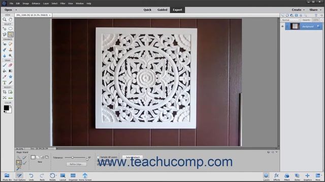 Photoshop Elements 2021 Tutorial The Magic Wand Tool Adobe Training смотреть онлайн