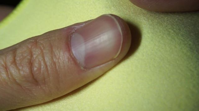 Sony A6000 + SEL1650 + Raynox DCR250 (1080p 60fps Video Test)