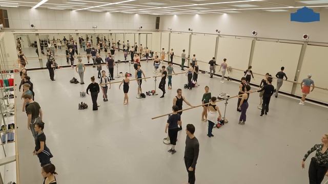 WORLD BALLET DAY 2023 // Semperoper Ballett