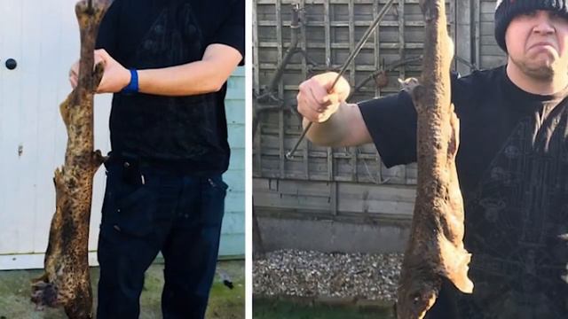 С неба упала акула! Что она там делала? смотреть онлайн