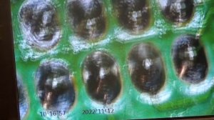 Лада Приора. Нет зарядки. Ремонт приборной панели. Живет своей жизнью.