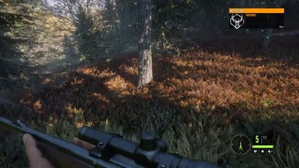 The Hunter Call Of The Wild: Rabbit hunting season