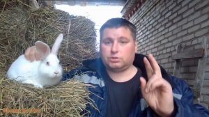 СЛУЧКА КРОЛИКОВ.ВО сколько МЕСЯЦЕВ СЛУЧАТЬ, КАКОЙ вес должен быть у кроликов.