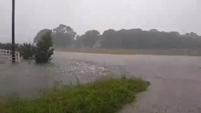 2 minutes ago USA ? Shocking floods in Texas! The entire state is in danger! смотреть онлайн