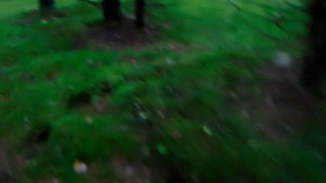 Вот красота!!! 28.10.2018. смотреть онлайн