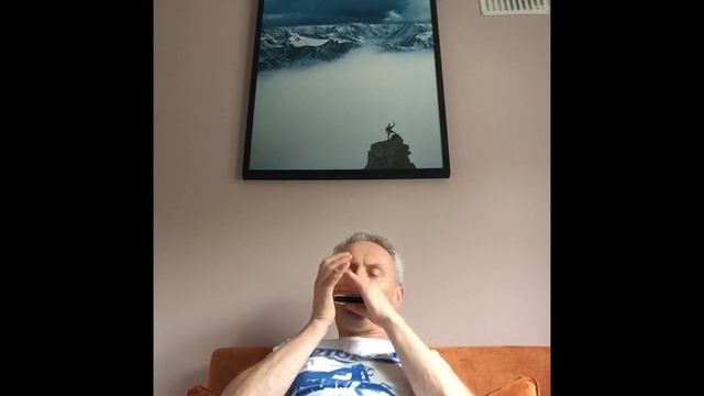 When the Ship Comes In (Bob Dylan)/Covid Paranoid Blues Harmonica Tab смотреть онлайн