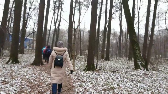 #1 ЗЕЛЕНОЕ КОЛЬЦО МОСКВЫ ПРОГУЛКА С АЛЕКСАНДРОМ СОВЕТОВЫМ 25.11.2017 смотреть онлайн