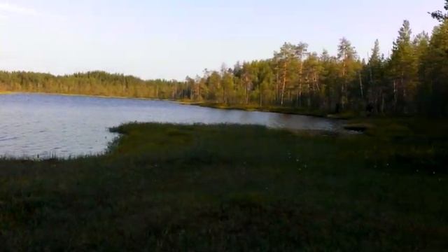 Карелия. Сумозеро. Морошковое поле смотреть онлайн