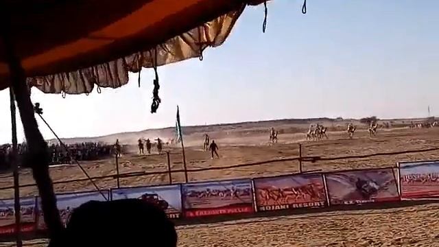 Camel race in thaar desert смотреть онлайн