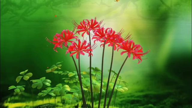 (Sub)(44)【博君一肖】当我眼前只有你 смотреть онлайн
