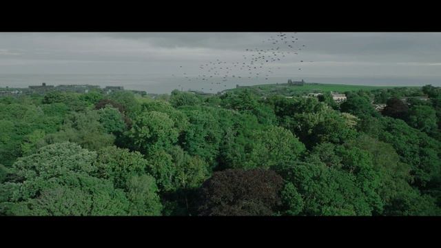 Вампиры лёгкого поведения Тизер-трейлер (Дубляж, 2024) смотреть онлайн