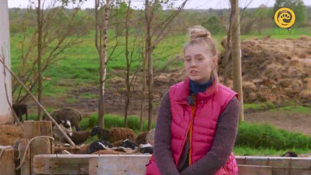 Живая школа. Анонс. Канал В мире животных смотреть онлайн