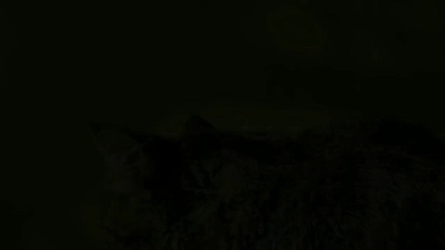 Regalo De Hooponopono, Beautiful Meditation Relaxation Music смотреть онлайн