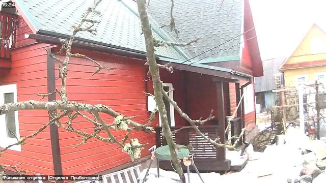 Финишная отделка 24.12.2016 | Андрей Шанс смотреть онлайн