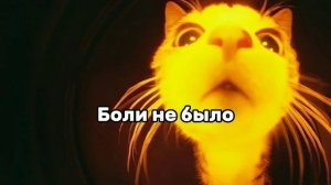 Your Cat Is Dead – Lenin Was A Zombie ★ | перевод(?)