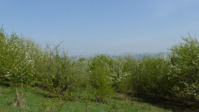 Музыка пробуждения. Неизбежность изменений. Высоковибрационная музыка смотреть онлайн