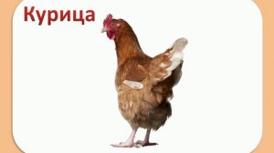 Голоса домашних животных для детей./ Как говорят домашние животные для детей