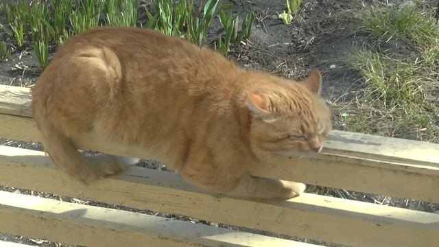 Апрельские зарисовки | April смотреть онлайн