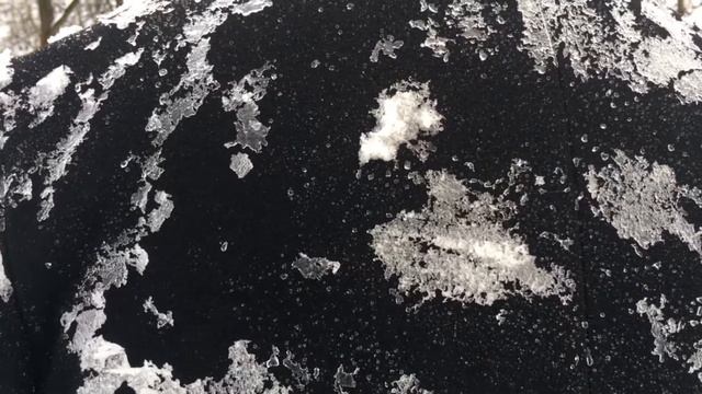 Волковское. Стихи. Саша Гуров. смотреть онлайн