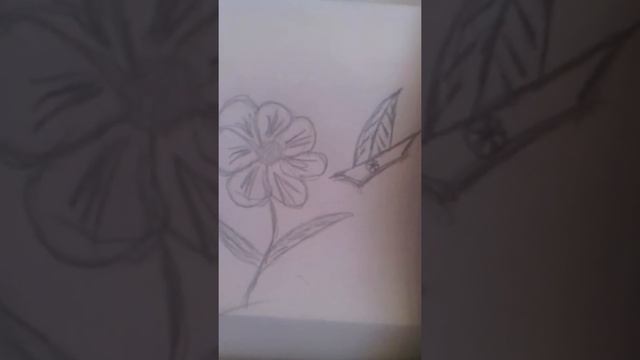 Я мечтала о морях и кораллах песня их к/ф