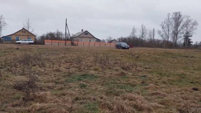 Новый проект "Голубика в низинном торфянике"(только низинный торф) смотреть онлайн