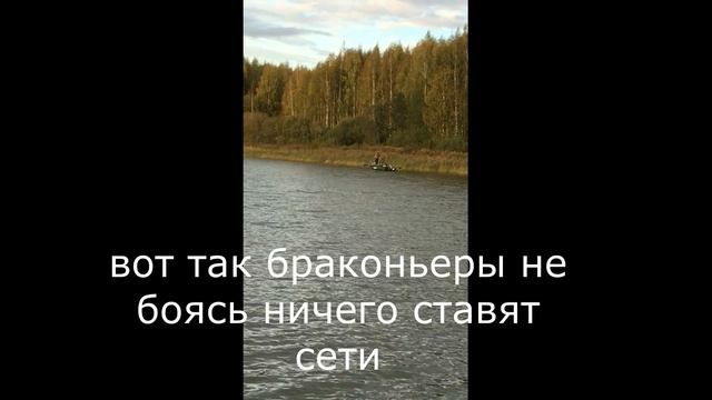 Вазузское вдхр. осенняя щука смотреть онлайн