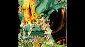 Nero's Day At Disneyland - Diff Ply