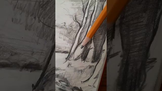 рисунок карандашом "Лес" смотреть онлайн