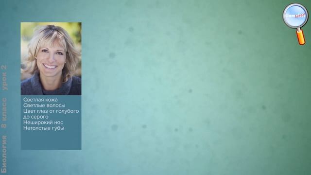 Биология 8 класс (Урок№2 - Расы человека.) смотреть онлайн