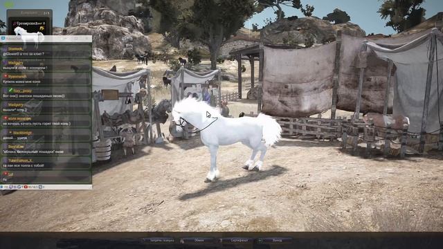 Black Desert (MMORPG - ИГРЫ) - ? Пегас за 4ккк ? Моя история пробуждения в BDO