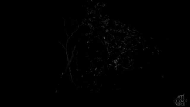 ЧЕЛОВЕК ДОМИНО! Страшные истории на ночь.Страшилки на ночь. смотреть онлайн