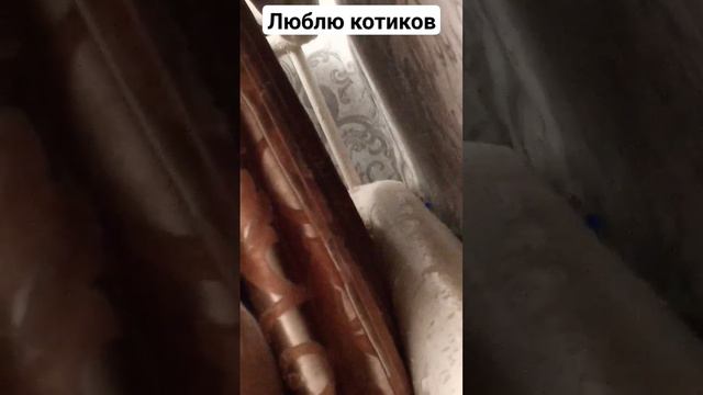 Нарезочки в честь пяти подписчиков #нарезкискотами