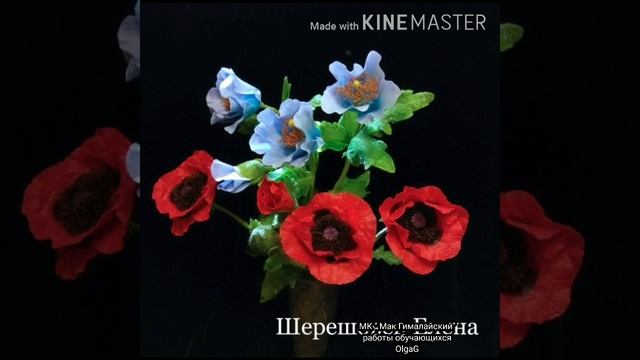 работы МК "Мак Гималайский" смотреть онлайн