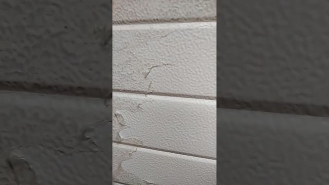 Отдирайте сразу....защитную пленку от панелей секционных ворот ZAIGER смотреть онлайн