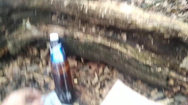 Городещина красивее леса в мире не бывает приехали отметить внеочередной шашлык😄 смотреть онлайн