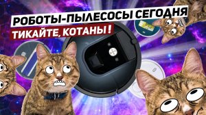 Роботы-пылесосы. Пора брать?